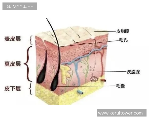 足球明星的皮肤护理秘密揭秘你不知道的护肤小常识